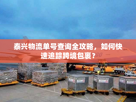 泰兴物流单号查询全攻略，如何快速追踪跨境包裹？