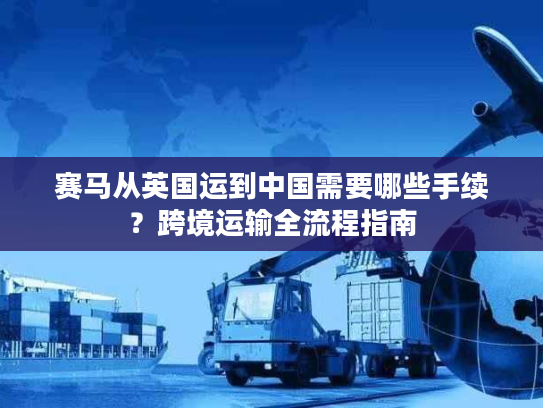 赛马从英国运到中国需要哪些手续？跨境运输全流程指南