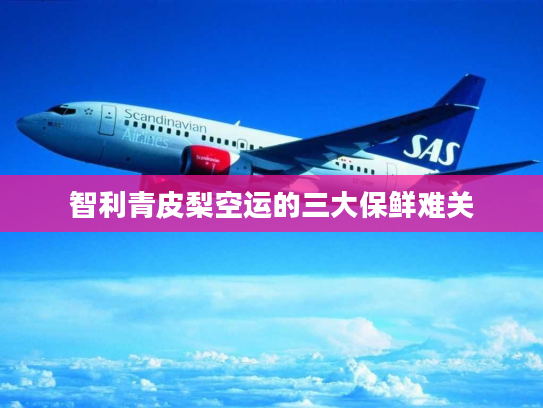 智利青皮梨空运的三大保鲜难关 智利青皮梨空运的三大保鲜难关