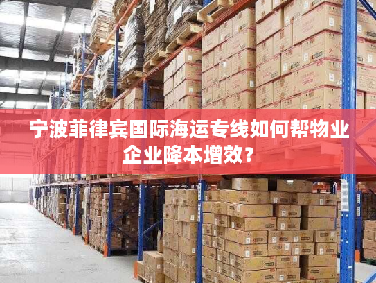 宁波菲律宾国际海运专线如何帮物业企业降本增效？