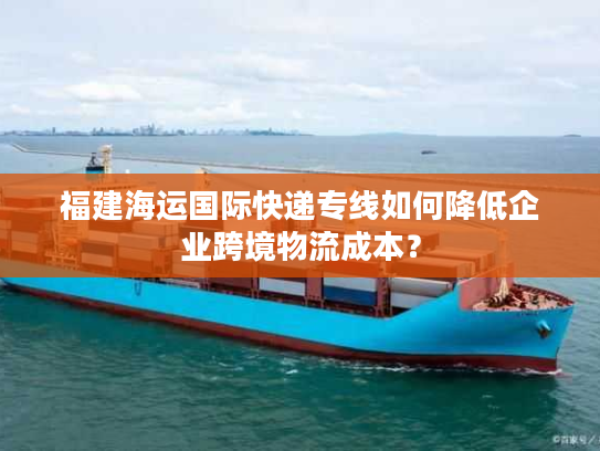 福建海运国际快递专线如何降低企业跨境物流成本？