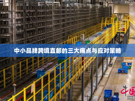 中小品牌跨境直邮的三大痛点与应对策略