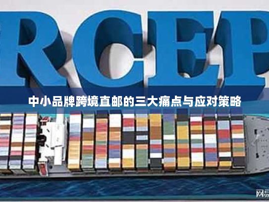 中小品牌跨境直邮的三大痛点与应对策略