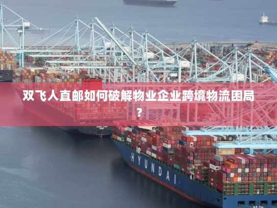 双飞人直邮如何破解物业企业跨境物流困局？