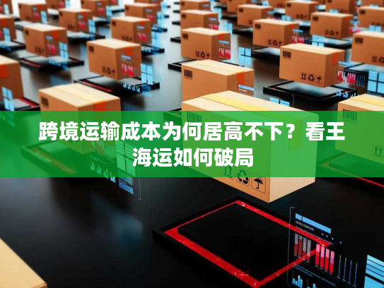 跨境运输成本为何居高不下？看王海运如何破局