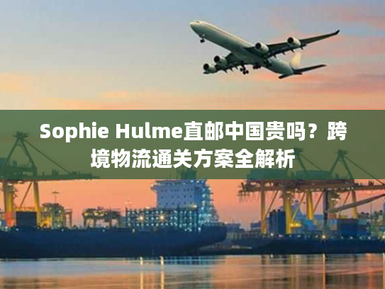 Sophie Hulme直邮中国贵吗？跨境物流通关方案全解析