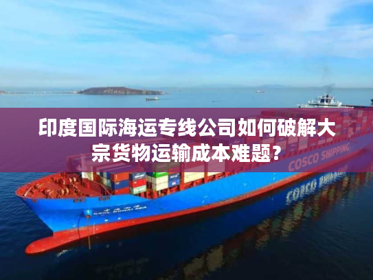 印度国际海运专线公司如何破解大宗货物运输成本难题？