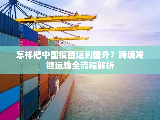 怎样把中国疫苗运到国外？跨境冷链运输全流程解析