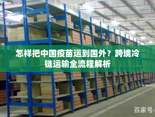 怎样把中国疫苗运到国外？跨境冷链运输全流程解析