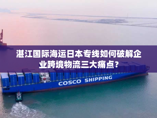 湛江国际海运日本专线如何破解企业跨境物流三大痛点？