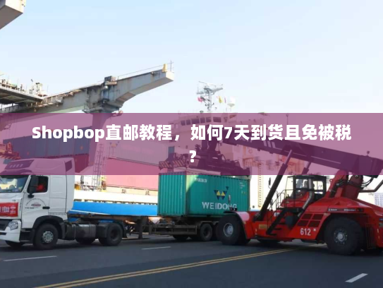 Shopbop直邮教程，如何7天到货且免被税？