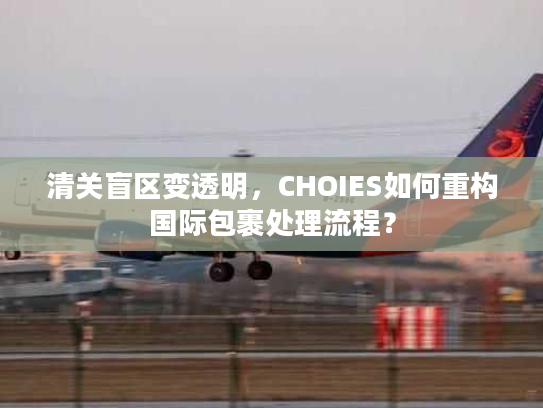 清关盲区变透明，CHOIES如何重构国际包裹处理流程？