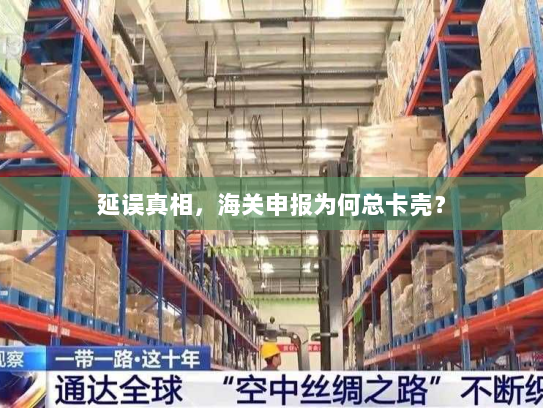 延误真相,海关申报为何总卡壳? 延误真相,海关申报为何总卡壳?