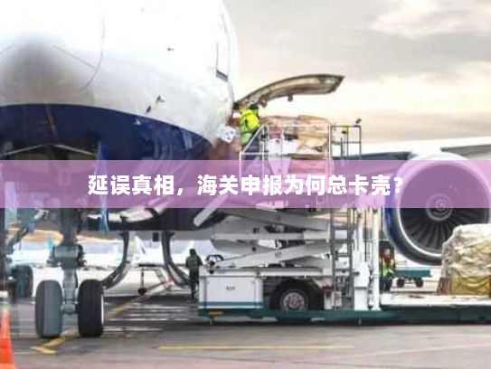 延误真相,海关申报为何总卡壳? 延误真相,海关申报为何总卡壳?