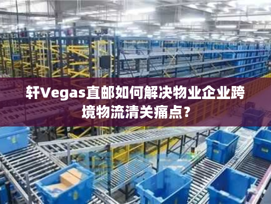 轩Vegas直邮如何解决物业企业跨境物流清关痛点？
