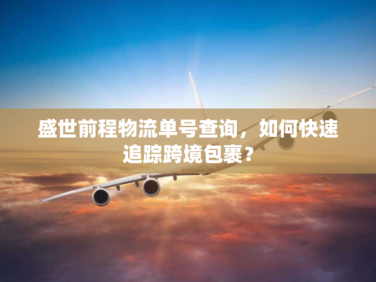 盛世前程物流单号查询，如何快速追踪跨境包裹？