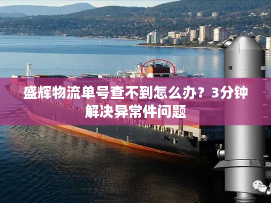 盛辉物流单号查不到怎么办？3分钟解决异常件问题