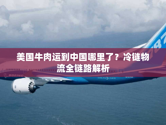 美国牛肉运到中国哪里了?冷链物流全链路解析 美国牛肉运到中国哪里了?冷链物流全链路解析