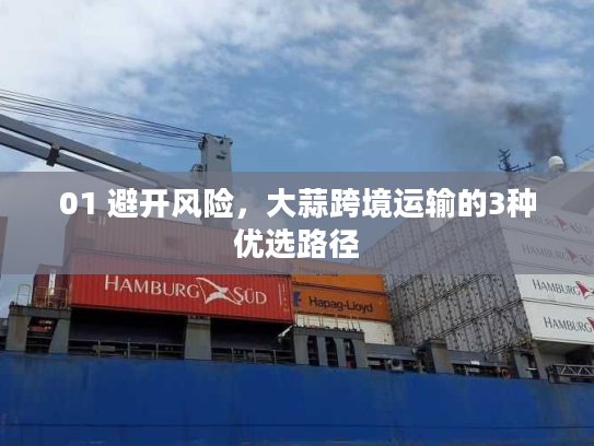 01 避开风险，大蒜跨境运输的3种优选路径