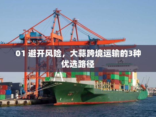 01 避开风险，大蒜跨境运输的3种优选路径