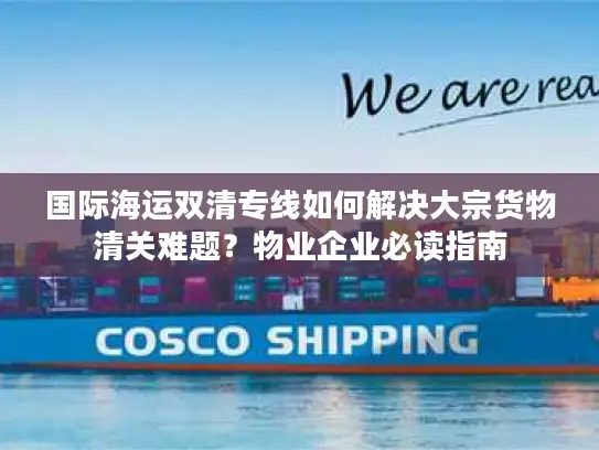 国际海运双清专线如何解决大宗货物清关难题？物业企业必读指南