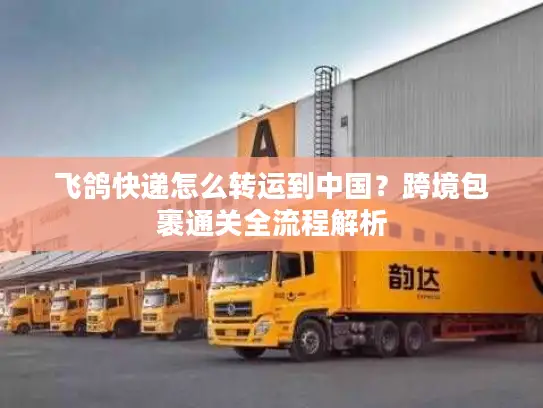 飞鸽快递怎么转运到中国？跨境包裹通关全流程解析