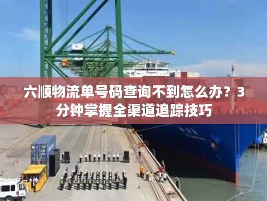 六顺物流单号码查询不到怎么办？3分钟掌握全渠道追踪技巧