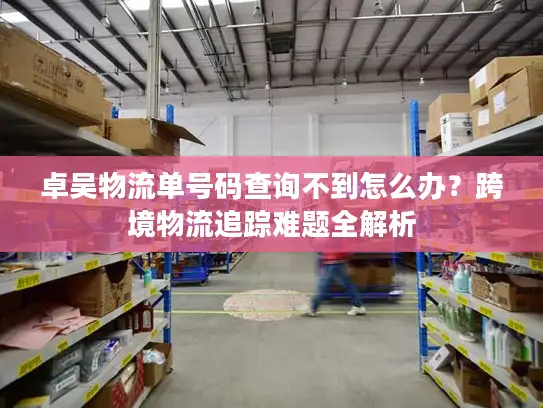 卓吴物流单号码查询不到怎么办？跨境物流追踪难题全解析