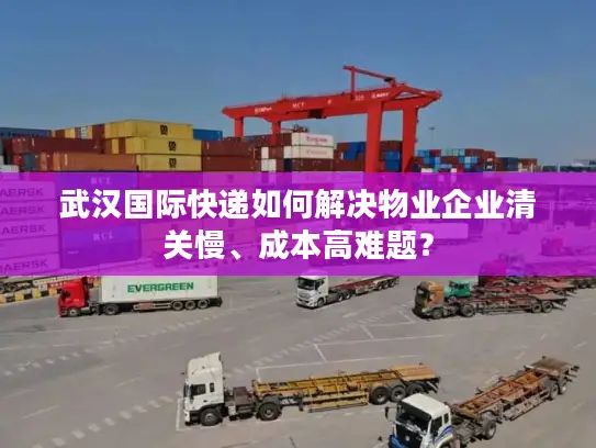 武汉国际快递如何解决物业企业清关慢、成本高难题？