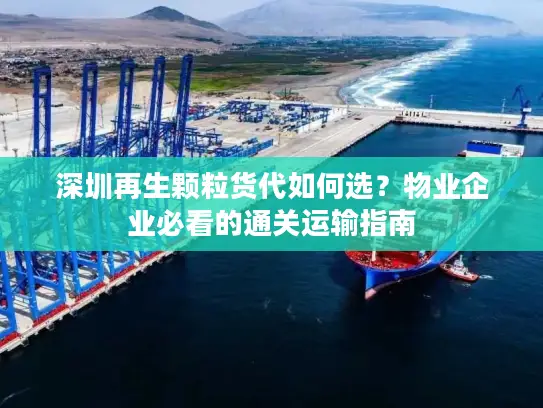 深圳再生颗粒货代如何选？物业企业必看的通关运输指南