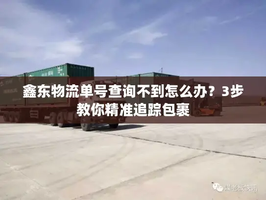 鑫东物流单号查询不到怎么办？3步教你精准追踪包裹