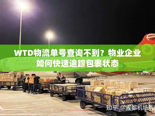 WTD物流单号查询不到？物业企业如何快速追踪包裹状态