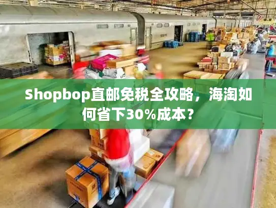Shopbop直邮免税全攻略，海淘如何省下30%成本？