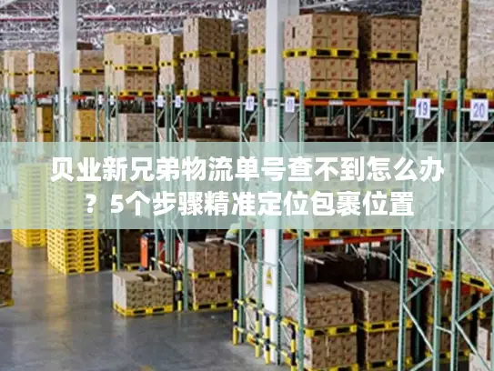 贝业新兄弟物流单号查不到怎么办？5个步骤精准定位包裹位置