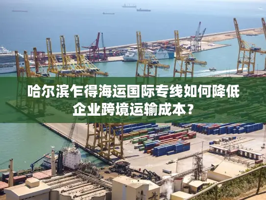 哈尔滨乍得海运国际专线如何降低企业跨境运输成本？