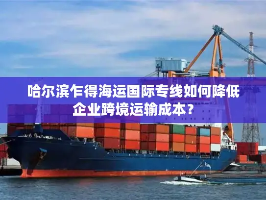 哈尔滨乍得海运国际专线如何降低企业跨境运输成本？