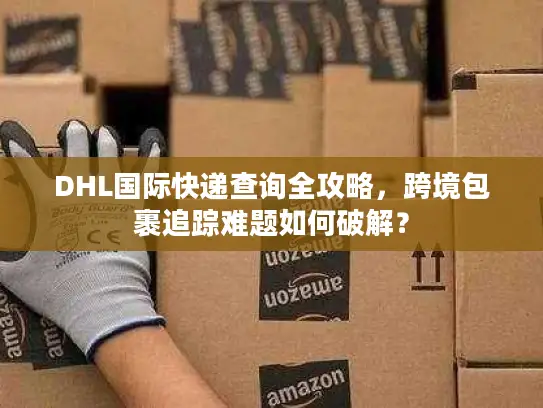 DHL国际快递查询全攻略，跨境包裹追踪难题如何破解？