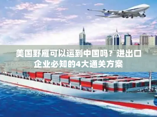 美国野雁可以运到中国吗？进出口企业必知的4大通关方案