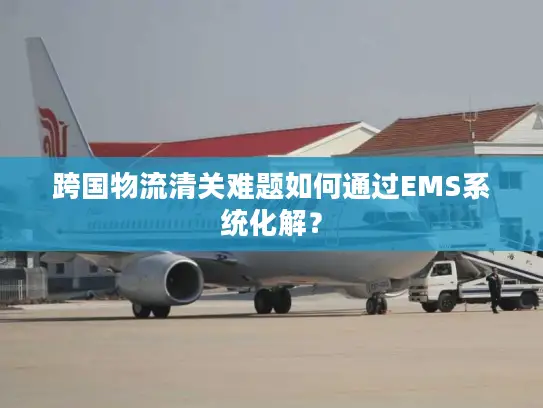 跨国物流清关难题如何通过EMS系统化解？