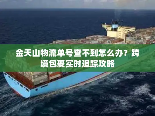 金天山物流单号查不到怎么办？跨境包裹实时追踪攻略