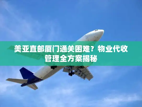 美亚直邮厦门通关困难？物业代收管理全方案揭秘