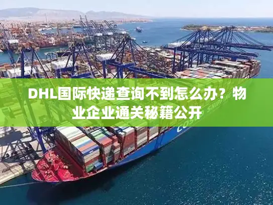 DHL国际快递查询不到怎么办？物业企业通关秘籍公开