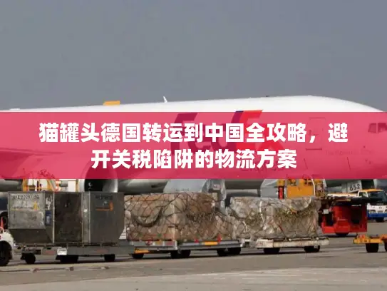猫罐头德国转运到中国全攻略，避开关税陷阱的物流方案