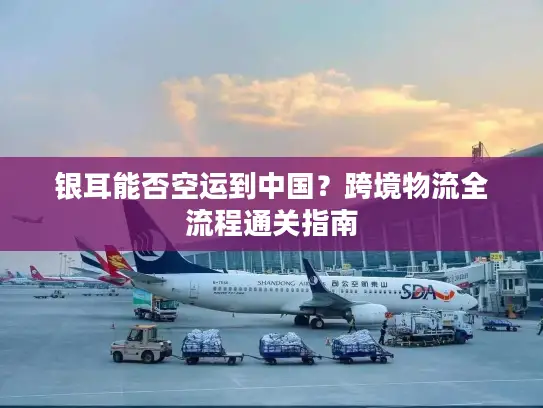 银耳能否空运到中国？跨境物流全流程通关指南