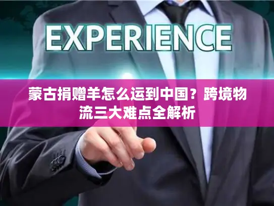 蒙古捐赠羊怎么运到中国？跨境物流三大难点全解析