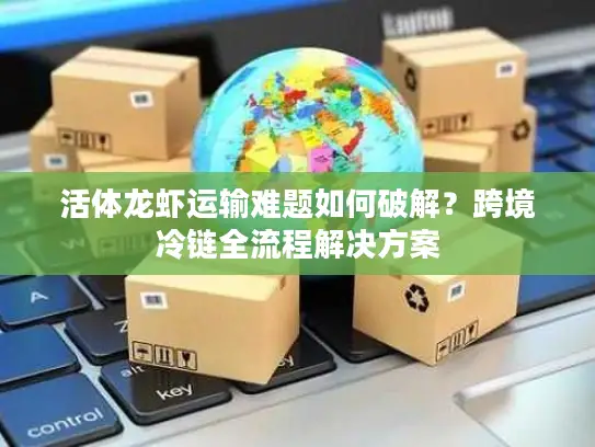 活体龙虾运输难题如何破解？跨境冷链全流程解决方案