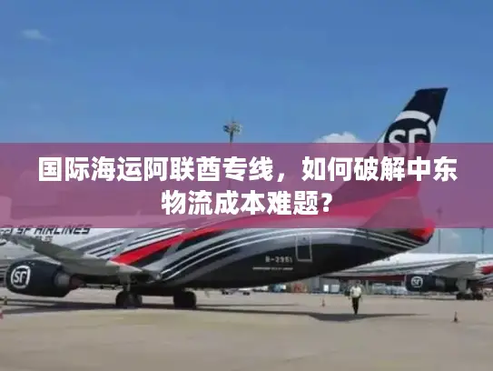 国际海运阿联酋专线，如何破解中东物流成本难题？
