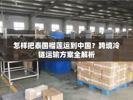 怎样把泰国榴莲运到中国？跨境冷链运输方案全解析