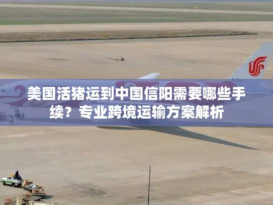美国活猪运到中国信阳需要哪些手续？专业跨境运输方案解析