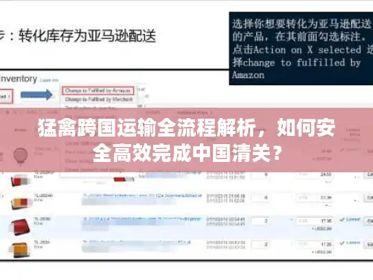 猛禽跨国运输全流程解析，如何安全高效完成中国清关？